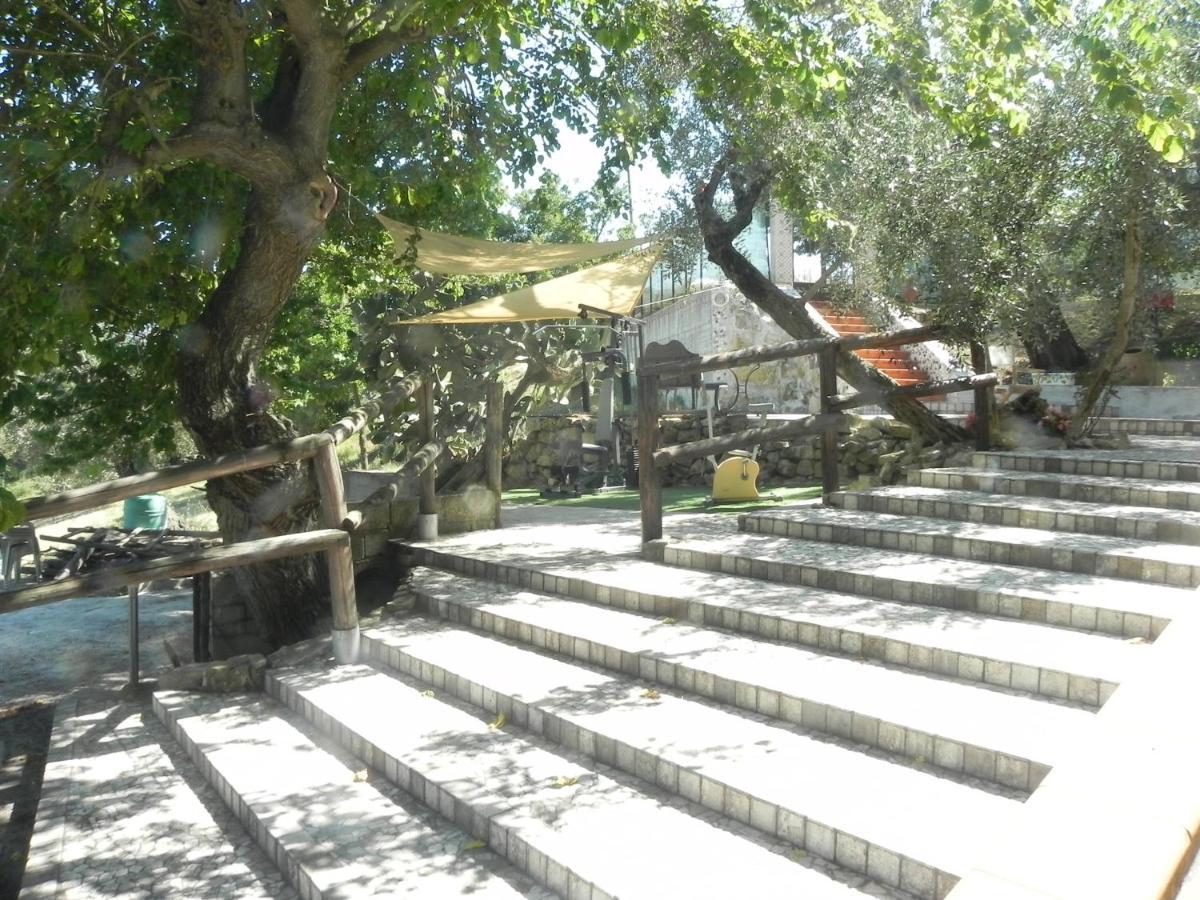 Agriturismo B&B Il Rifugio Di Nino Contursi Εξωτερικό φωτογραφία