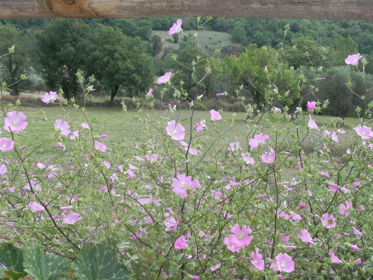 Agriturismo B&B Il Rifugio Di Nino Contursi Εξωτερικό φωτογραφία