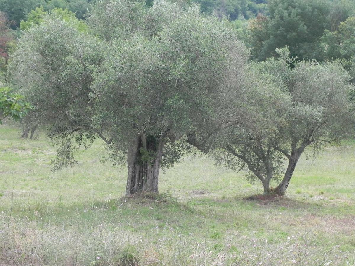 Agriturismo B&B Il Rifugio Di Nino Contursi Εξωτερικό φωτογραφία